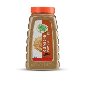 Nature Smith - Garlic Powder - 400 gm