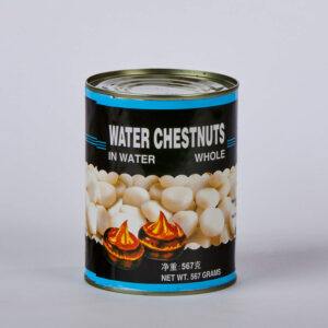 CUJIFEST - Water Chestnuts, 567 gm